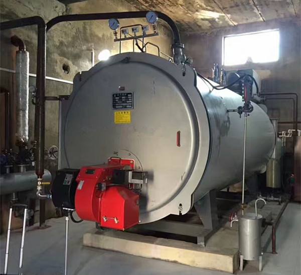 低氮燃?xì)忮仩t