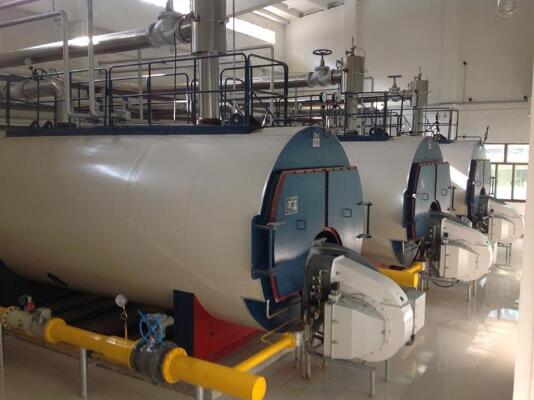 生物質(zhì)鍋爐